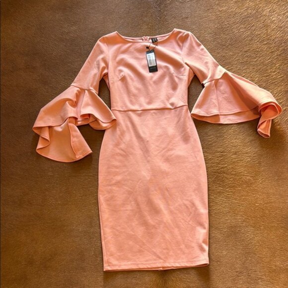 Elegant Pink Ruffle Sleeve Dress - Picture 1 of 3
